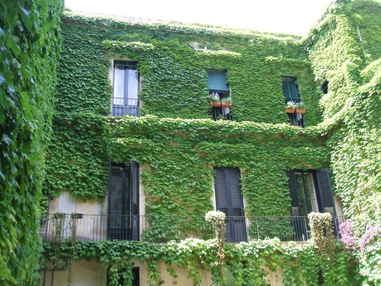 Palazzo Rollo Bed and Breakfast Λέτσε Εξωτερικό φωτογραφία